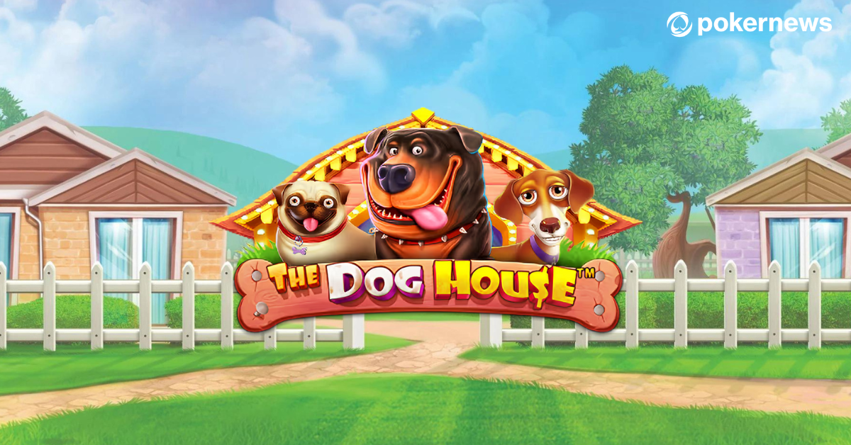 Слот The Dog House в казино Драгон Мани
